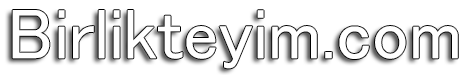 Birlikteyim.com Logo